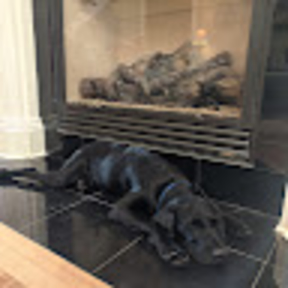 Meet your Posher, Sam